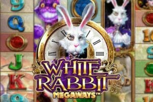 White Rabbit